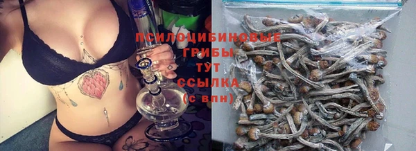 mdpv Заволжск