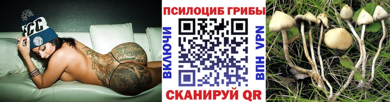 Галлюциногенные грибы Magic Shrooms  Купить закладки  Калач 
